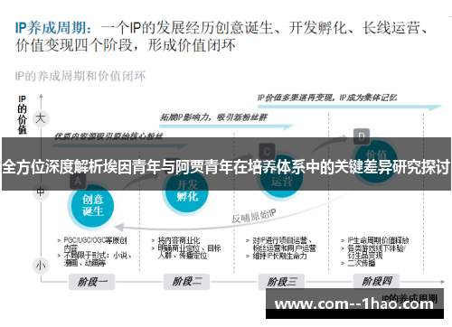 全方位深度解析埃因青年与阿贾青年在培养体系中的关键差异研究探讨