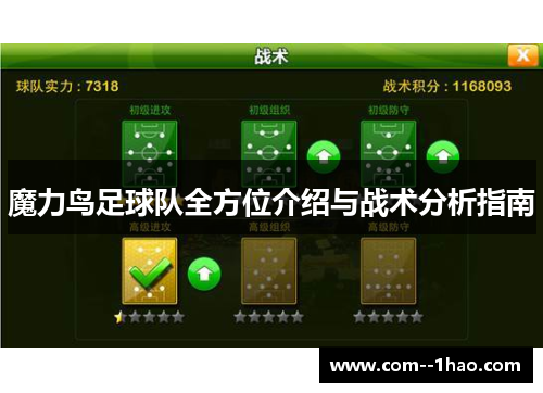 魔力鸟足球队全方位介绍与战术分析指南