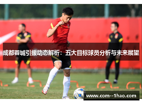 成都蓉城引援动态解析：五大目标球员分析与未来展望