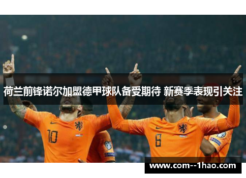 荷兰前锋诺尔加盟德甲球队备受期待 新赛季表现引关注